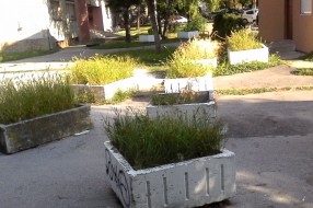 "Afinitet" prema lepoti i zelenilu