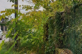 Neprohodan trotoar u ulici Kizura Ištvana