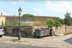 Korov u strogom centru