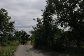 Puknuta drvena bandera u Bračkoj ulici
