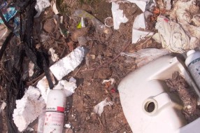 Tavankut ima problem: "alternativno gradsko-prigradska deponija"