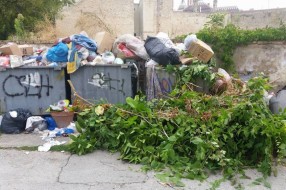Obeveštena komunalna policija ne preduzima ništa