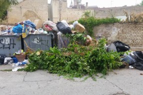 Obeveštena komunalna policija ne preduzima ništa