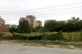 Ambrozija na Prozivci