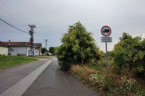 Žbunje-divlje rastinje u Verušićkoj uluci