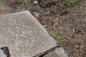 Žačepljena kanalizacija pored parka na Prozivci