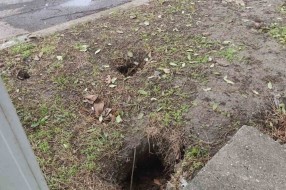 Žačepljena kanalizacija pored parka na Prozivci