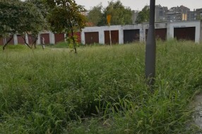 (Ne)košenje trave na Prozivci