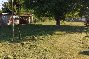 (Ne)održavanje groblja u Bajmoku