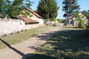 (Ne)održavanje groblja u Bajmoku