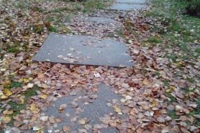 Izvaljeno stablo i oštećeni tortoar na Segedinskom putu