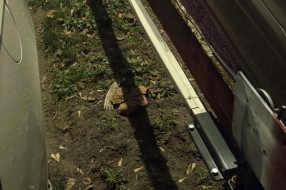 „Privatizacija“ javnog parkinga na Radijalcu