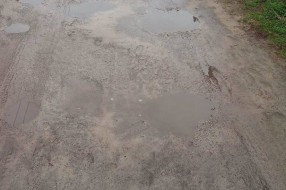 Pohvala za puteve u mz Peščara