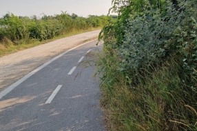Neodržavanje biciklističke staze uz zapadnu obalu Palićkog jezera