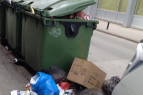 Smeca svuda, komunalaca nigde