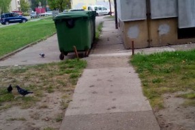 Kontejneri ispred prozora?
