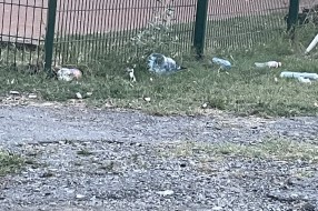 Smeće na Paliću kod sportskog centra