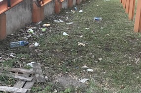 Smeće na Paliću kod sportskog centra