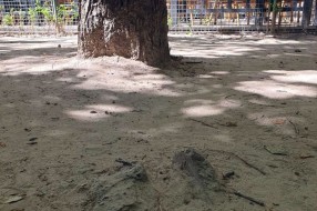 Igralište kod Maksija