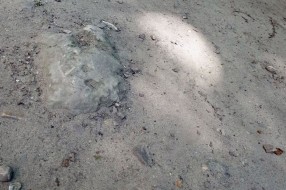 Igralište kod Maksija