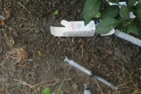 Iskorišćeni špricevi na dečjem igralištu na Radijalcu