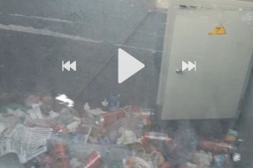 Zapušteno autobusko stajalište na Beogradskom putu