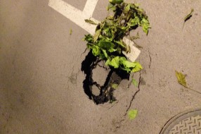 Opasna rupa na putu na Trgu žrtava fašizma