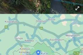 Nekontrolisano divlje zelenilo ispred kuća u ulici Deže Kostolanjija