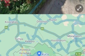 Nekontrolisano divlje zelenilo ispred kuća u ulici Deže Kostolanjija