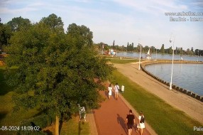 Malo oblikovati krošnje da bi kamera mogla lepo da vidi šetalište