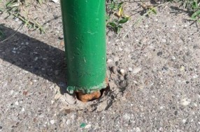 Vandalizam na Paliću