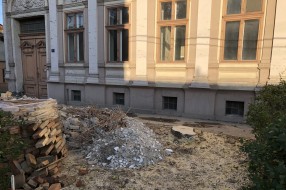 Posečena stabla, a ostavljeni panjevi u ulici Henrika Sjenkjevića