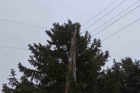 Trula bandera u ulici Starine Novaka 54a u Aleksandrovu