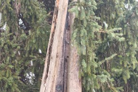 Trula bandera u ulici Starine Novaka 54a u Aleksandrovu