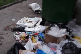 Prepuni kontejneri i smeće oko njih ispred zgrade na Radijalcu