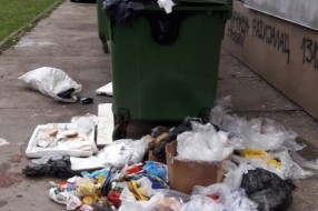 Prepuni kontejneri i smeće oko njih ispred zgrade na Radijalcu