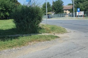 Nepregledna raskrsnica zbog žive ograde (ulice Jelene Čović i Otmara Majera)
