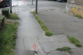 Opasne udarne rupe na biciklističkoj stazi u centru grada