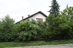 Košenje rastinja u Maloj Bosni