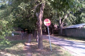Višegodišnje smeće kod Vila Viktorije na Paliću