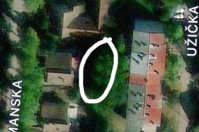 Neorezana drva u Igumanskoj ulici