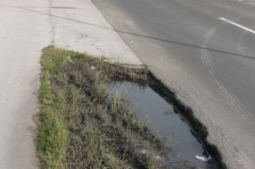 Pažnja, krater na asfaltu! (Palićki put)