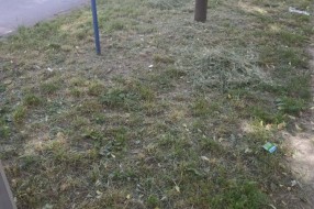 Karađorđev put prljav i neodržavan
