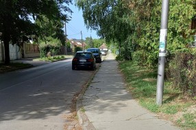 Ignorisanje zabrane parkiranja u Zetskoj ulici
