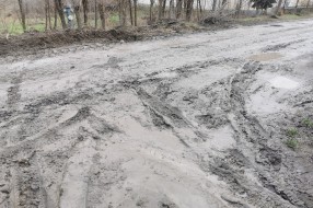 Ulica Partizanskih baza neprohodna – živo blato ispred kuća već mesecima