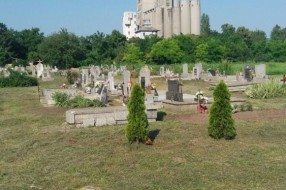 Zarasla trava u centralnom groblju - Bajmok