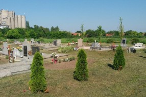 Zarasla trava u centralnom groblju - Bajmok