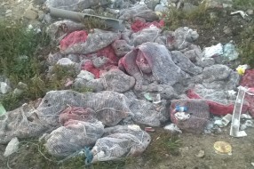 Da li će se nekad stati na kraj ilegalnom iznošenju otpada i đubreta?