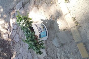 (kako funkcioniše) Odnošenje smeća?