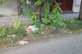 (kako funkcioniše) Odnošenje smeća?